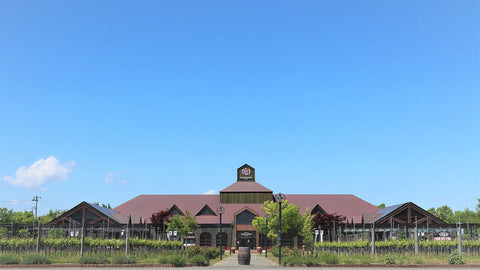 高畠ワイナリーを紹介させていただきます。