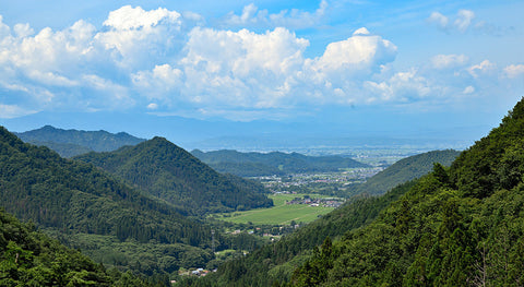 日本ワインの可能性を示す　山形県のワインについて